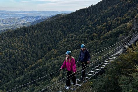  Forager! Zapomniany klejnot piaskownicy pełen odkryć i rozwijania umiejętności!